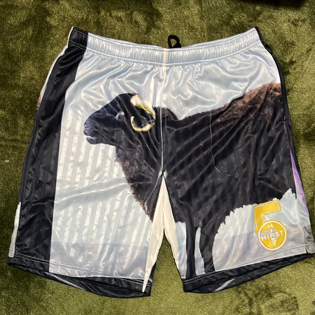 Supreme x Damien Hirst Soccer Short 