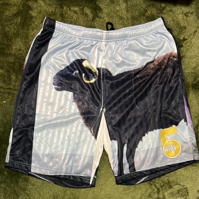Supreme x Damien Hirst Soccer Short Supreme x Damien Hirst Soccer Short