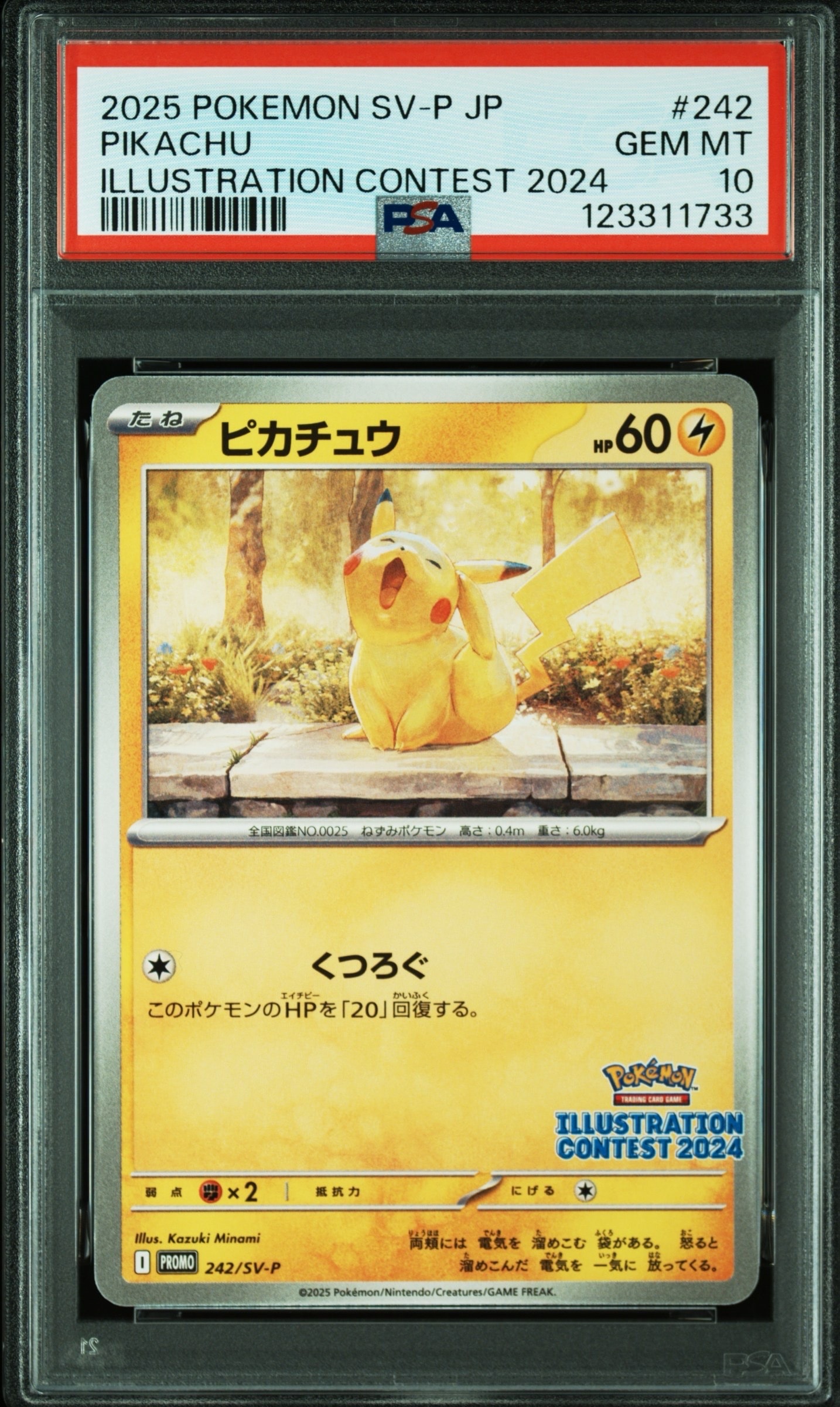 ピカチュウ [SV-P 242](プロモカードパック「イラストレーションコンテスト 2024 受賞作品プロモカード化記念キャンペーン」)