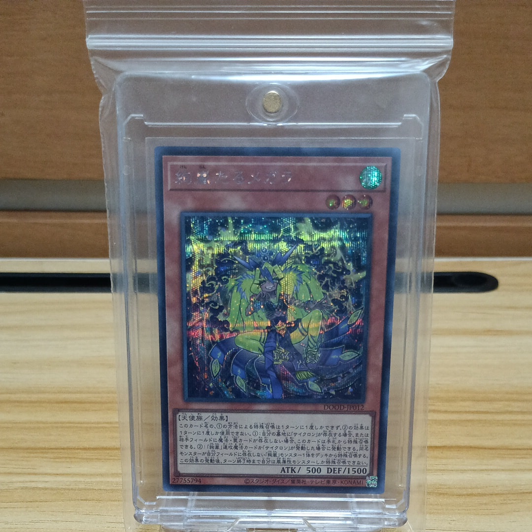 絢嵐たるメガラ SE [DOOD-JP012](ドゥーム・オブ・ディメンションズ)