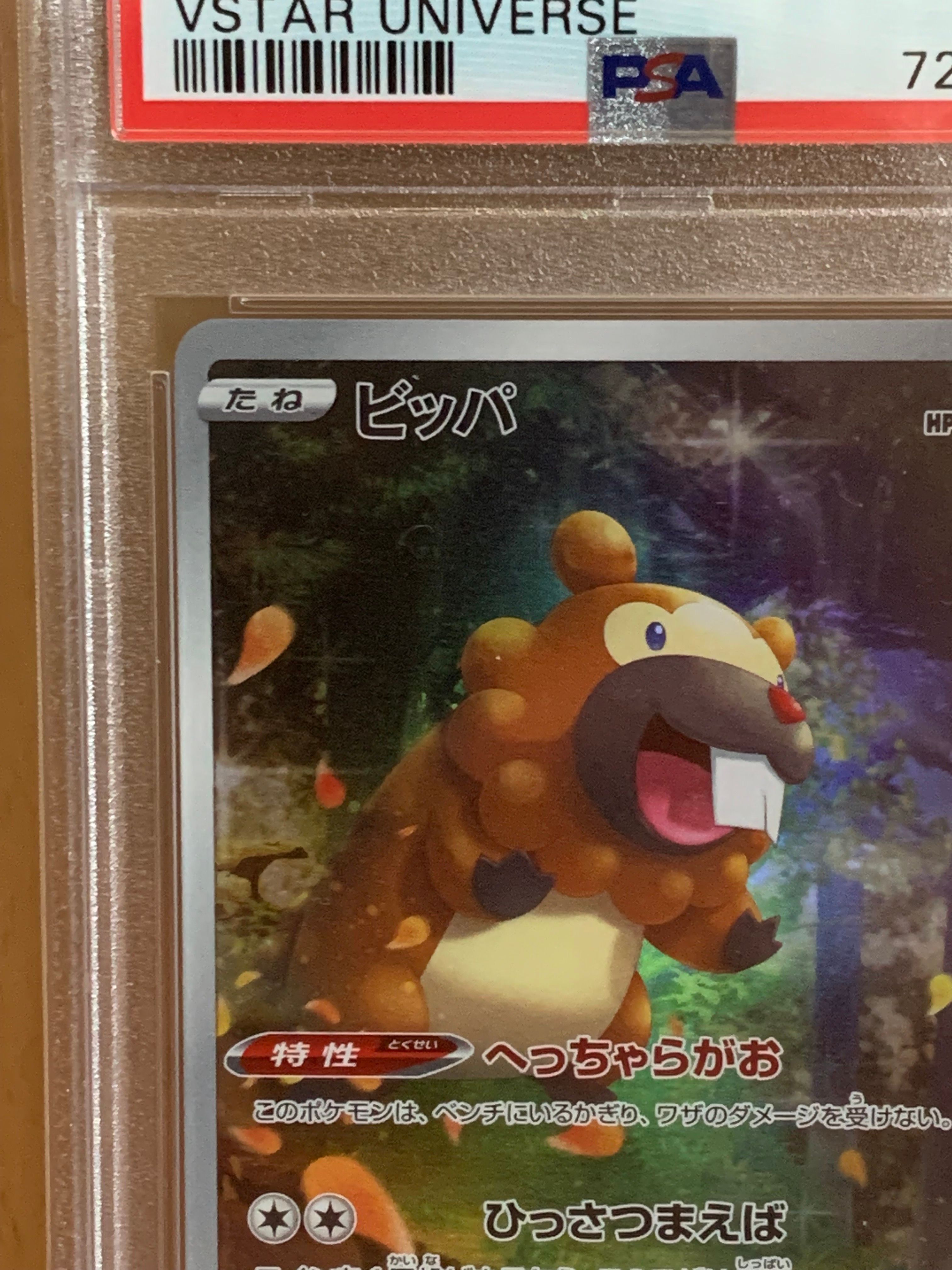 ビッパ AR[s12a 204/172](ハイクラスパック「VSTARユニバース