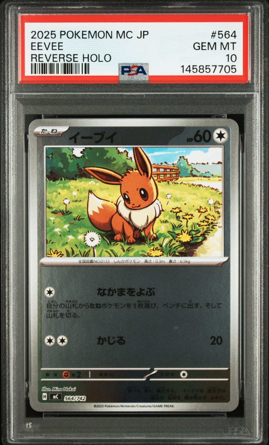 PSA10】イーブイ :ミラー [MC 564/742](スタートデッキ100「バトル