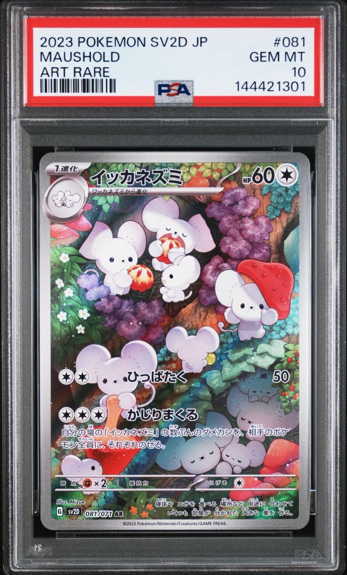 イッカネズミ AR[SV2D 081/071](拡張パック「クレイバースト」)の新品
