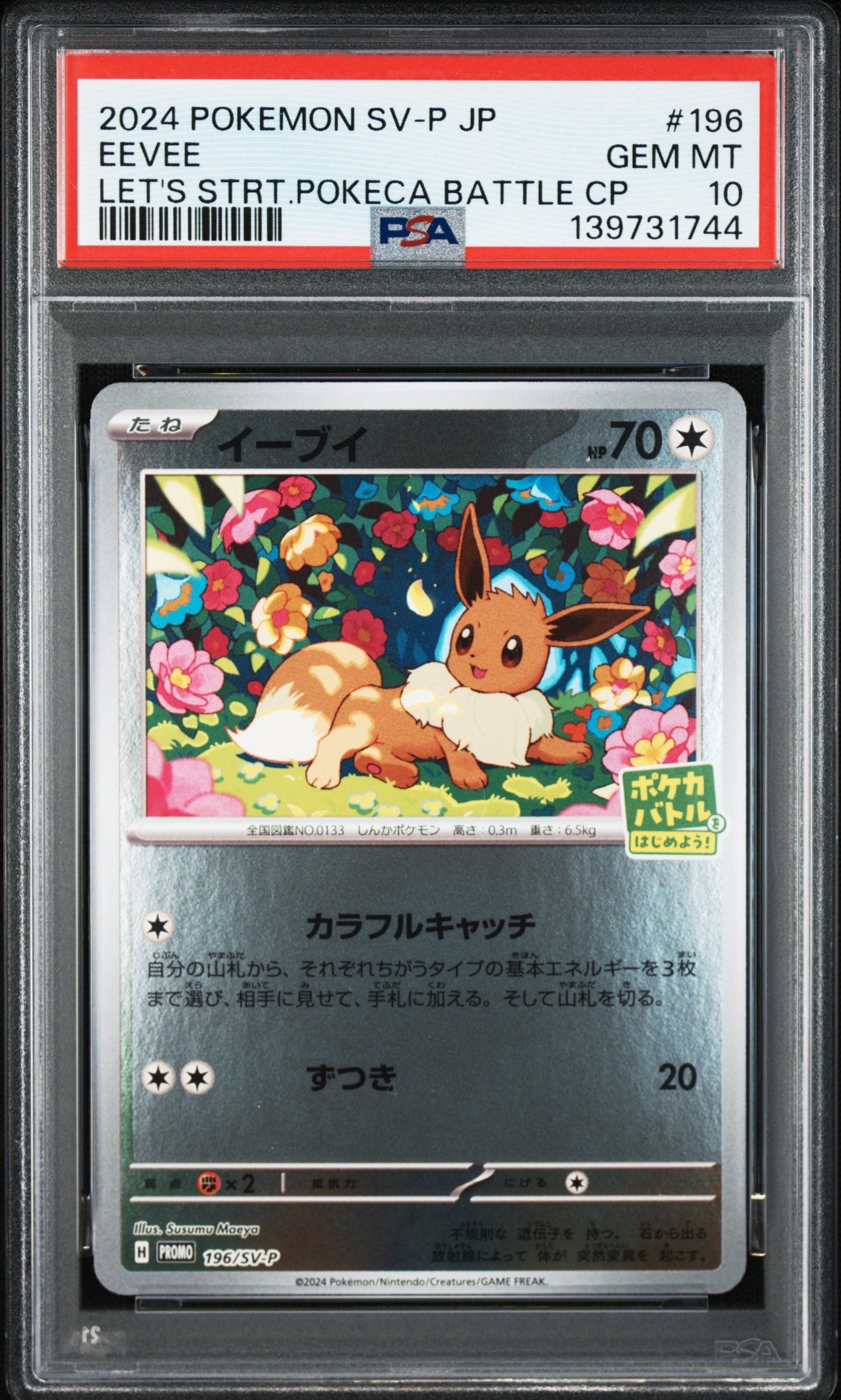 イーブイ P [SV-P-SM 196](プロモカードパック「ポケカバトルをはじめよう!キャンペーン」)