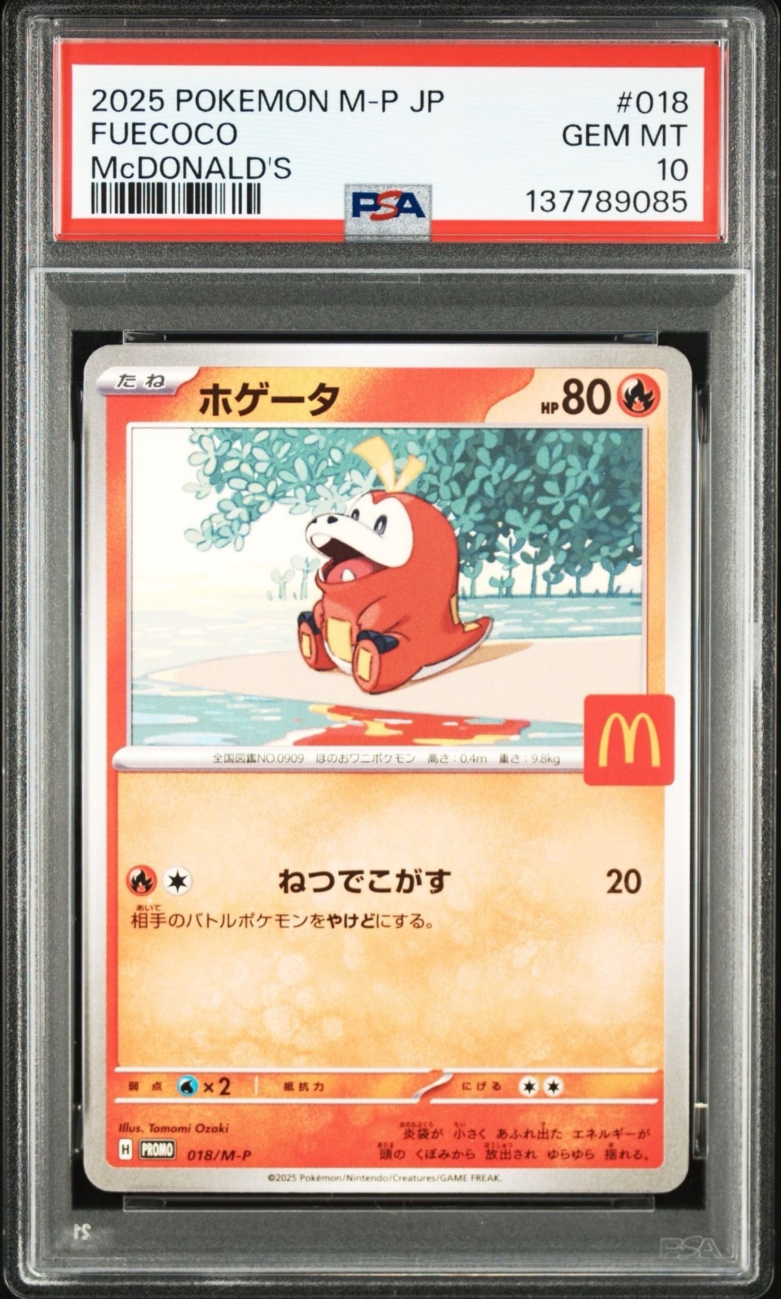 ホゲータ P [M-P 018](プロモカードパック「マクドナルド ハッピーセット2025」)