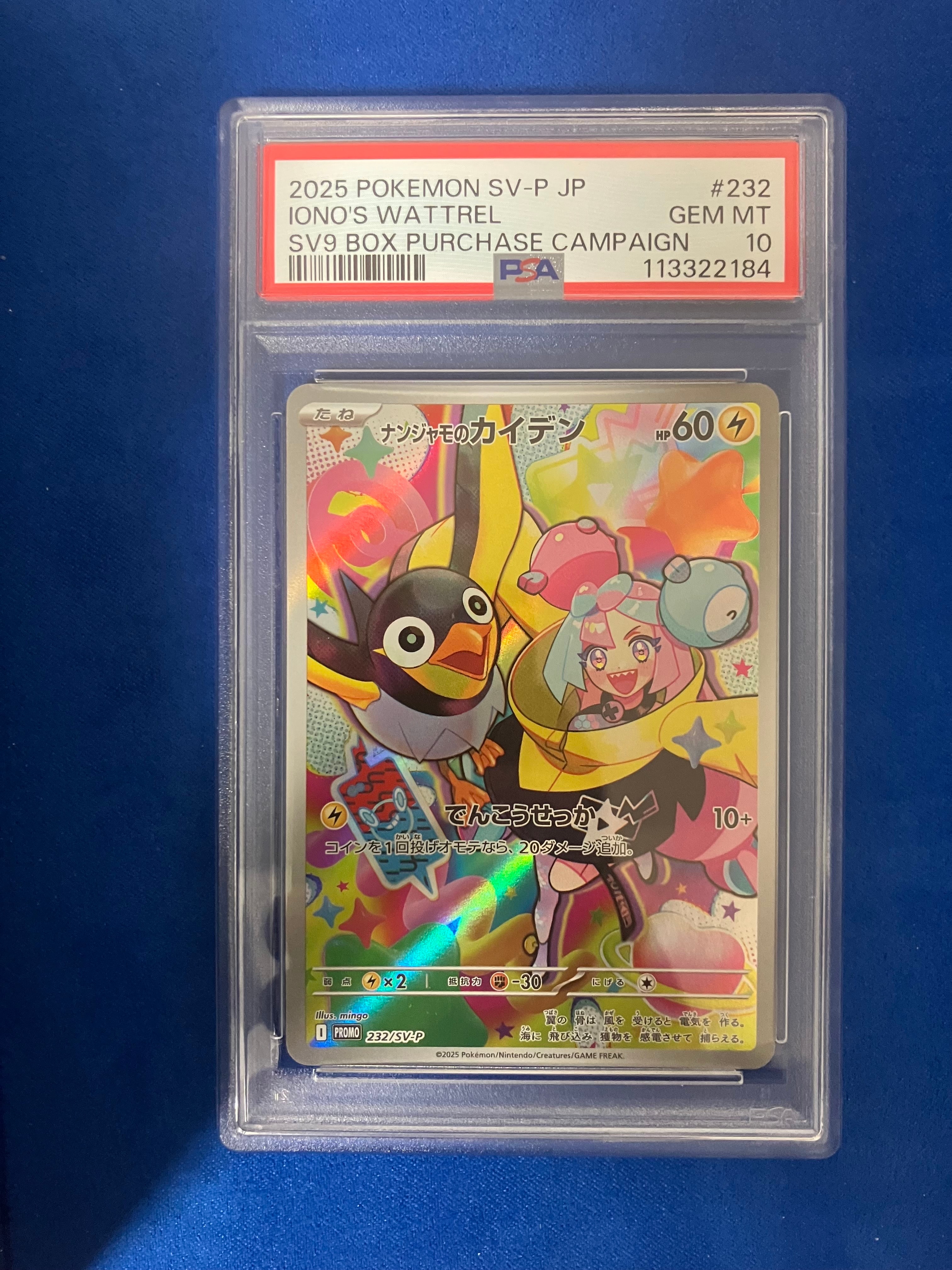 ナンジャモのカイデン P [SV-P 232](プロモーションカード「拡張パック バトルパートナーズ Box購入キャンペーン」)