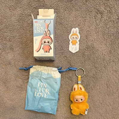 POP MART THE MONSTERS (LABUBU) Pin for Love Series-Vinyl Plush Pendant (N-Z) Y