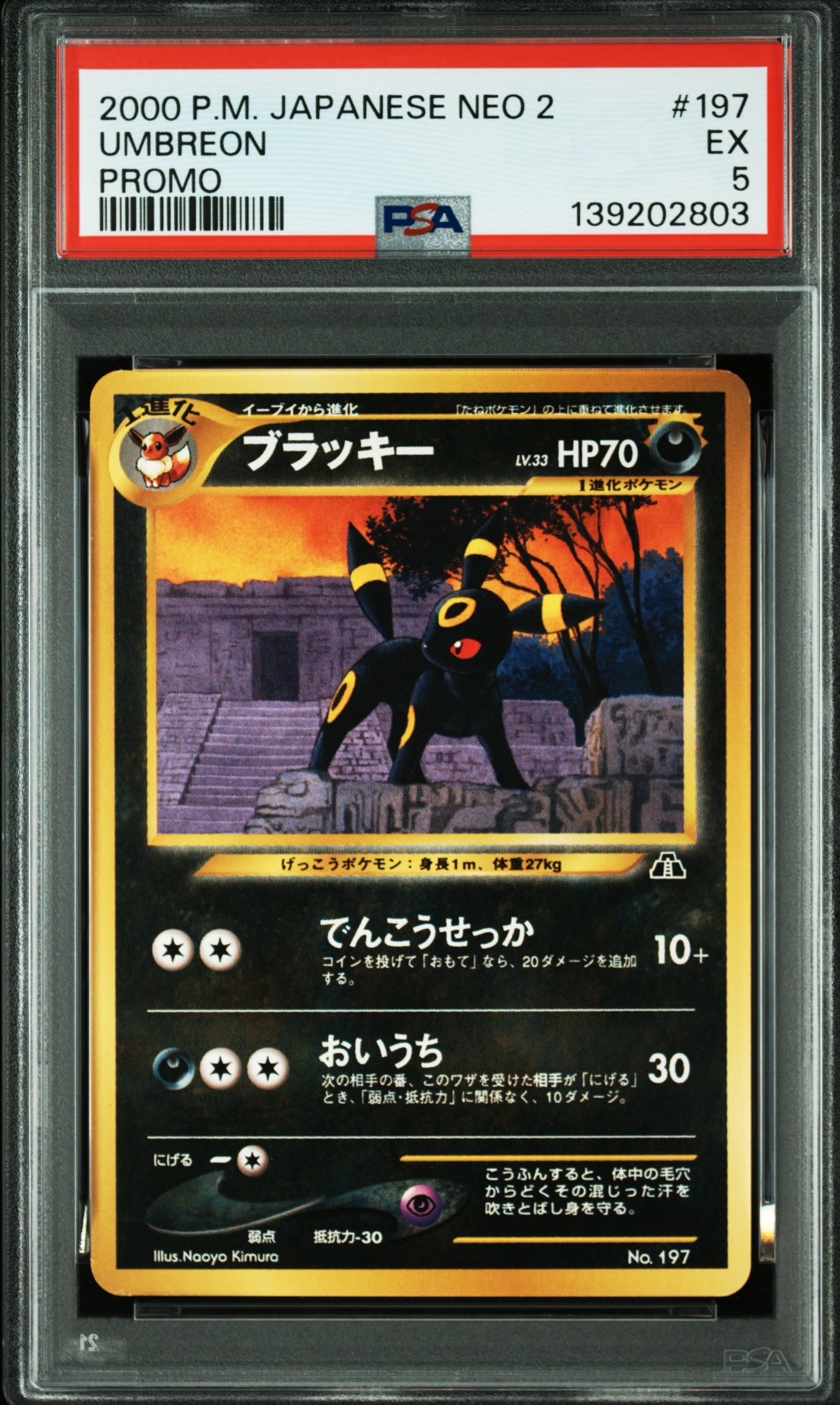 ブラッキープレミアムファイル2: 旧裏[neoP2 No.197](プレミアムファイル2)