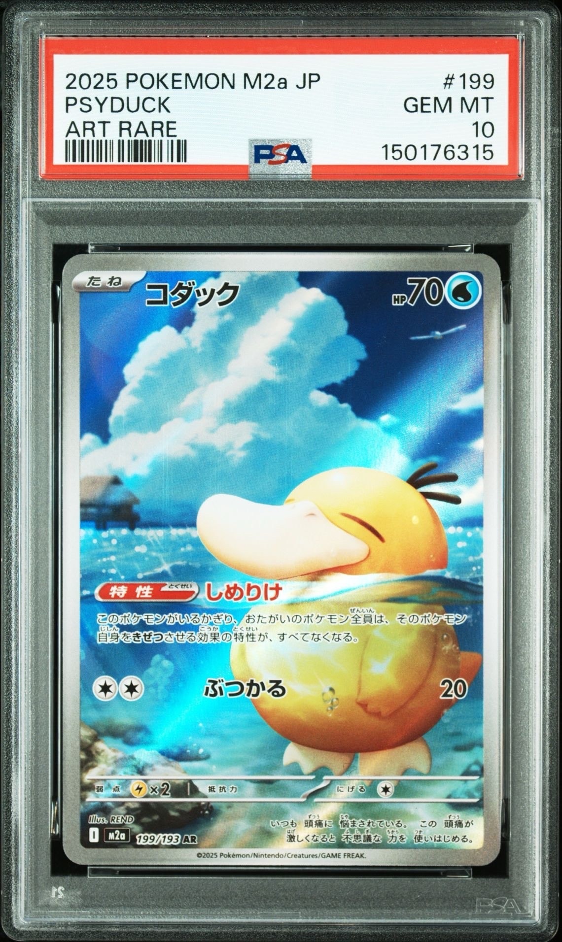 コダック AR [M2a 199/193](ハイクラスパック「MEGAドリームex」)