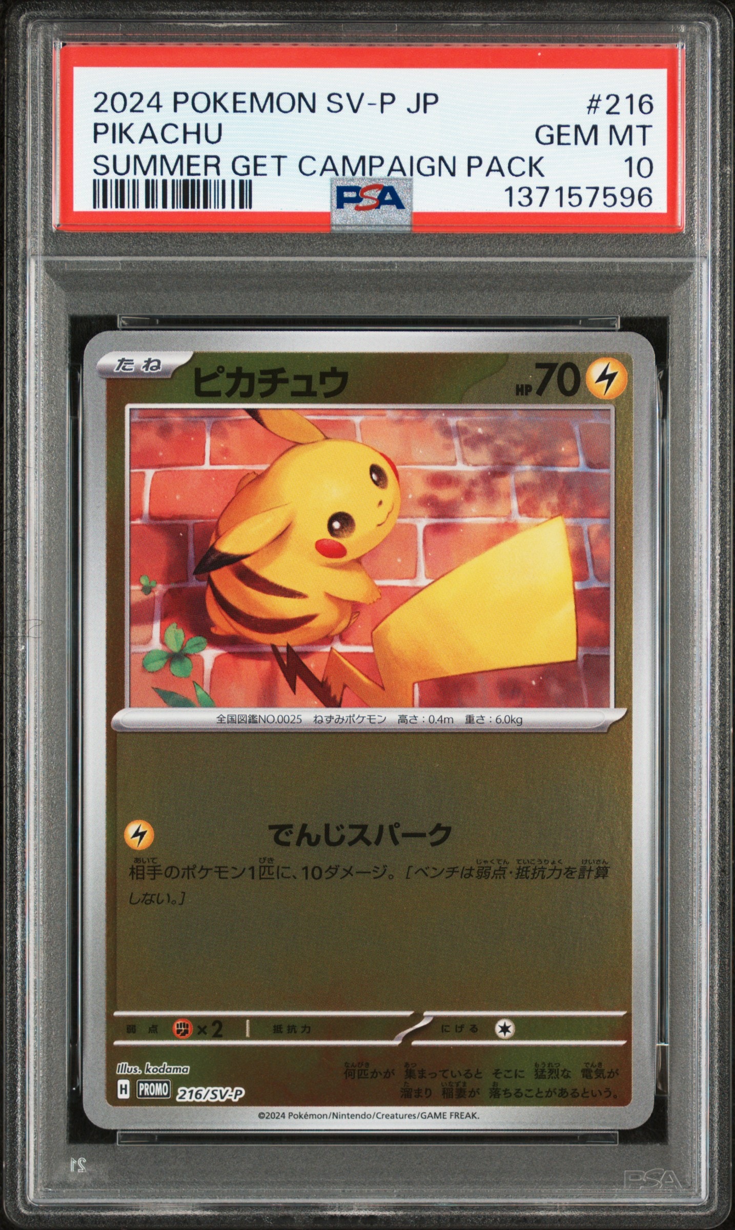 ピカチュウ P [SV-P 216](プロモカードパック「ポケカの夏がキタ!プロモカードGetキャンペーン!」)