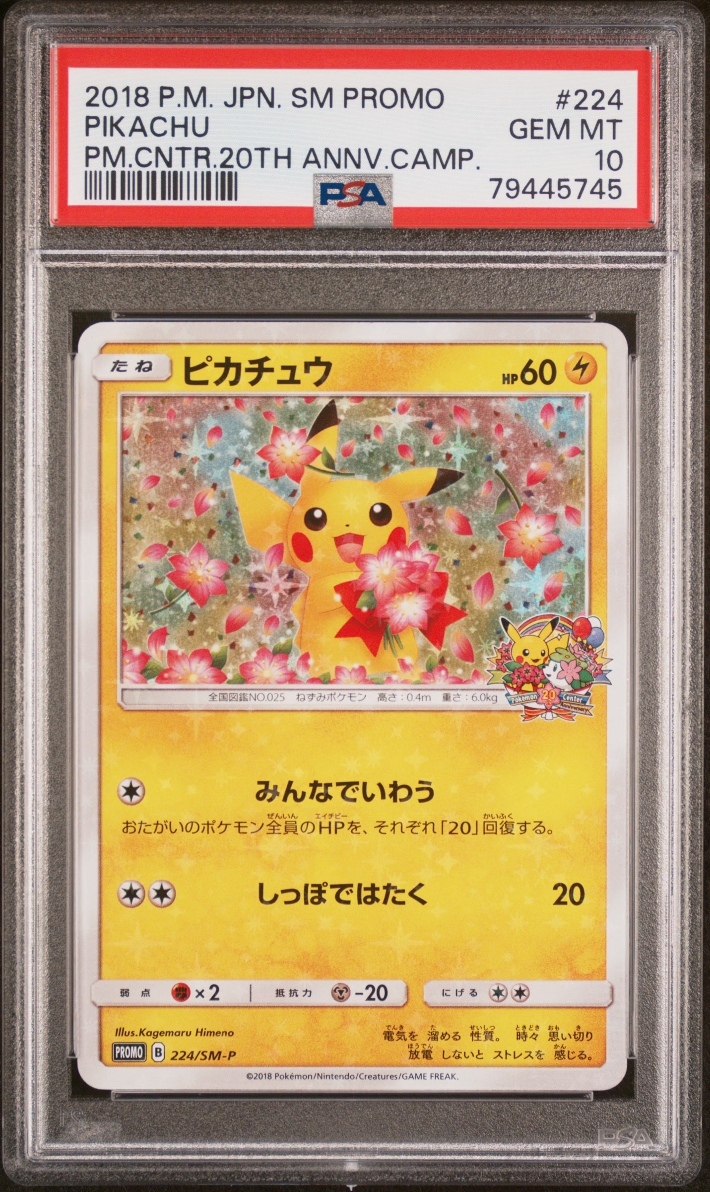 ピカチュウ: プロモ[L-P 019/L-P](プロモーションカード「L-P」)の新品