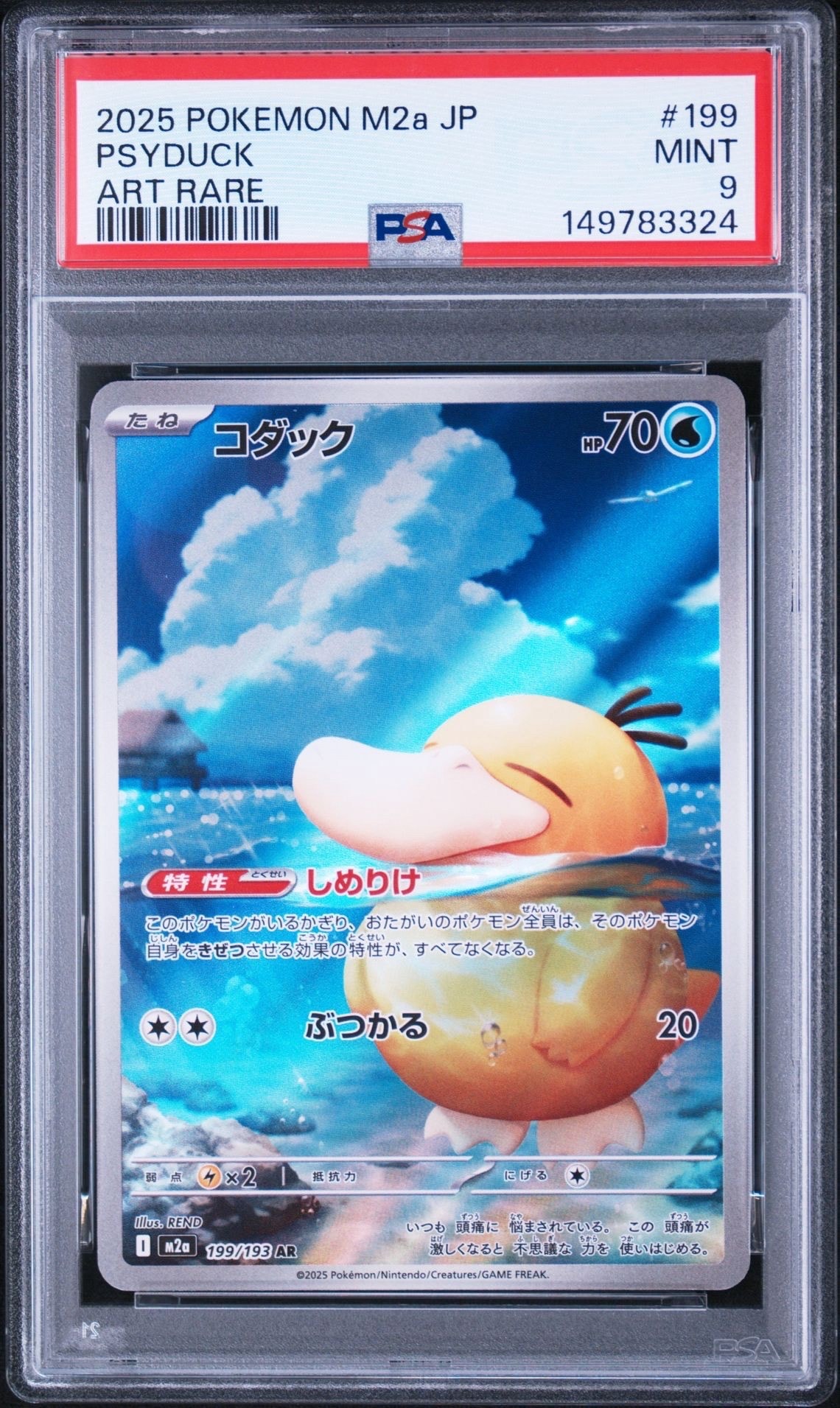 コダック AR [M2a 199/193](ハイクラスパック「MEGAドリームex」)の