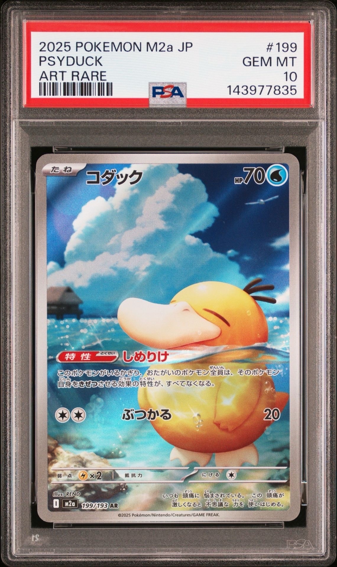 コダック AR [M2a 199/193](ハイクラスパック「MEGAドリームex」)