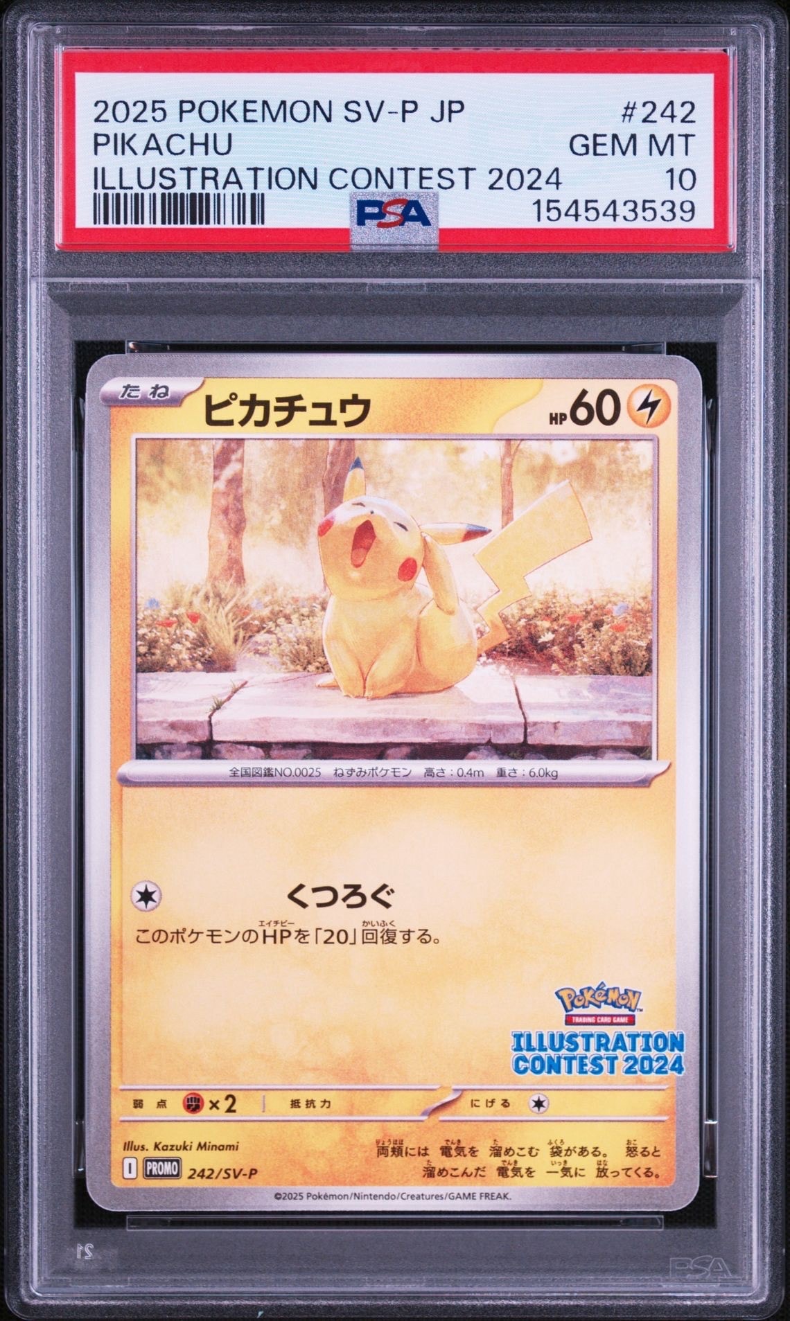 ピカチュウ [SV-P 242](プロモカードパック「イラストレーション