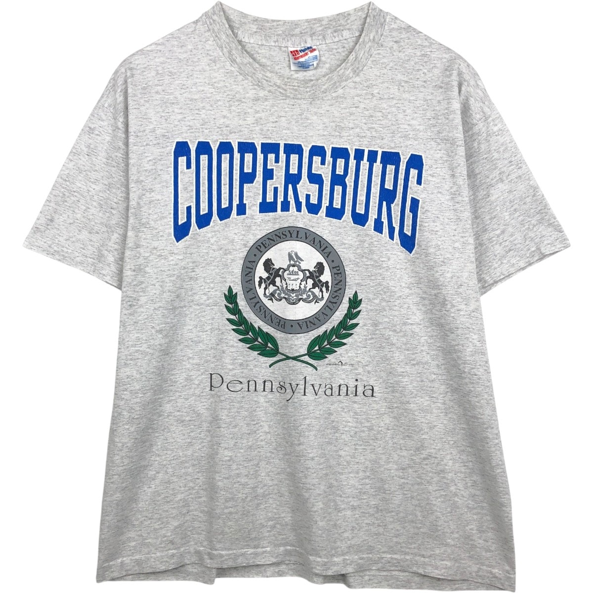 古着 90年代 ヘインズ Hanes HEAVYWEIGHT 50/50 3連プリント プリントTシャツ USA製 メンズXL相当 ヴィンテージ/eaa667557