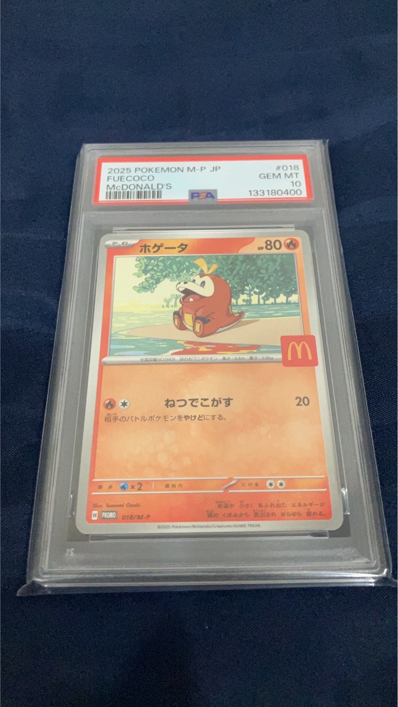 ホゲータ P [M-P 018](プロモカードパック「マクドナルド ハッピーセット2025」)