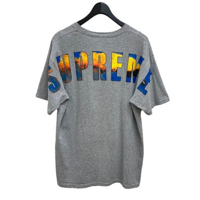 Supreme Chicken Dinner Tee "Grey"