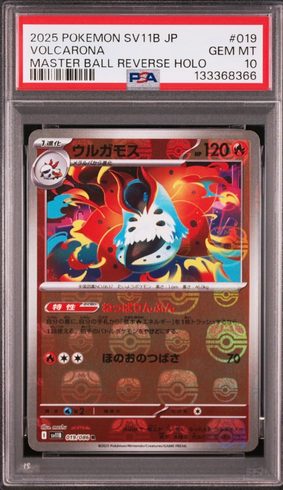 ウルガモス R :マスターボールミラー [SV11B 019/086](拡張パック「ブラックボルト」)