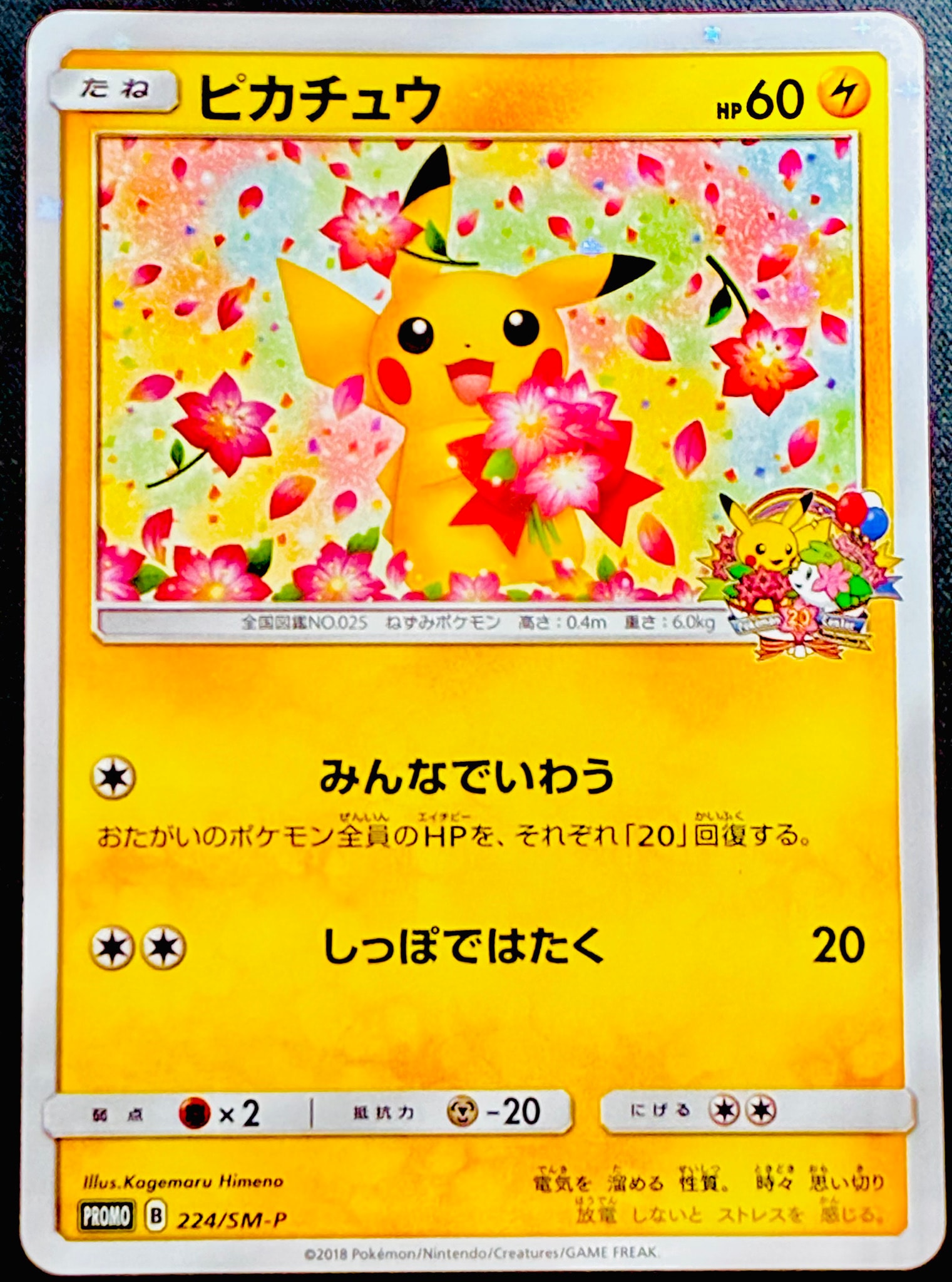 ピカチュウ: プロモ[SM-P 224](プロモーションカード「SM-P」)通販