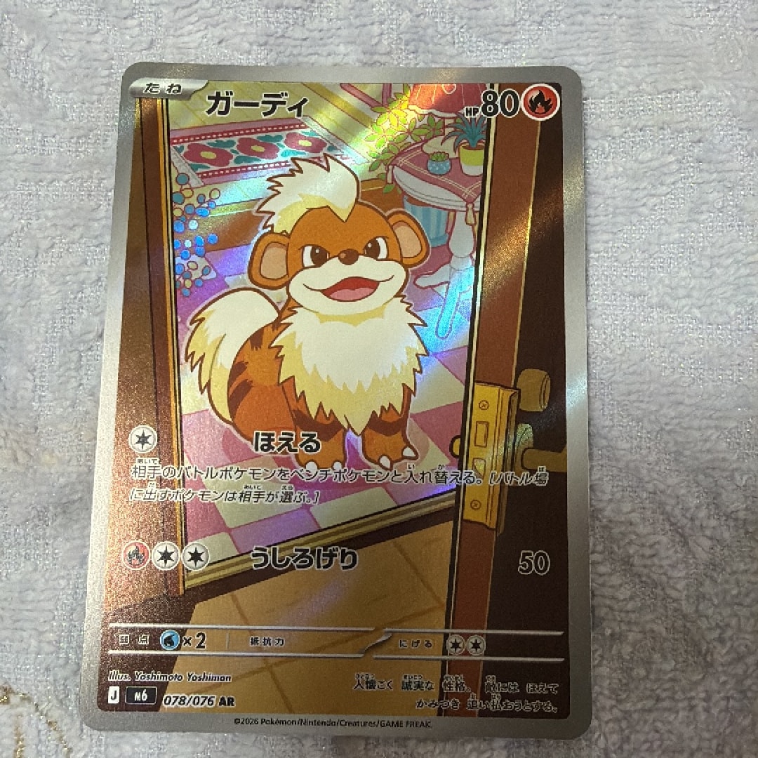 ガーディ AR [M6 078/076](拡張パック「ストームエメラルダ」)