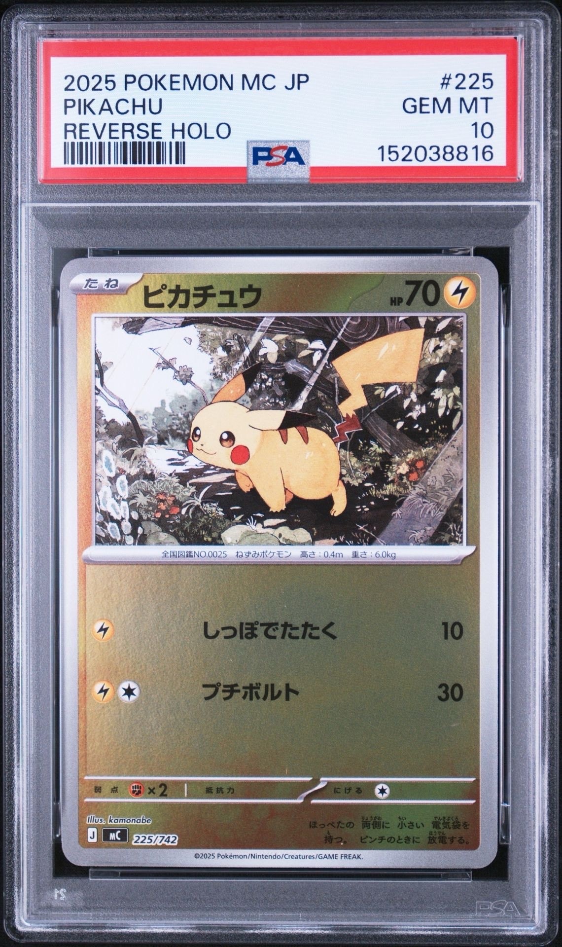ライチュウ&アローラライチュウGX RR [SM10a 008/054](強化拡張パック