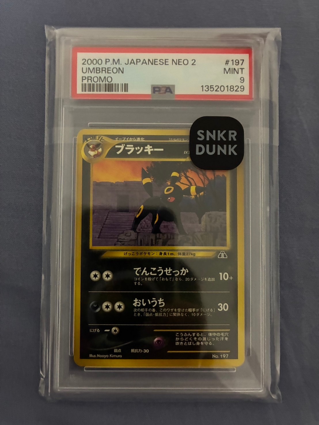 ブラッキープレミアムファイル2: 旧裏[neoP2 No.197](プレミアムファイル2)