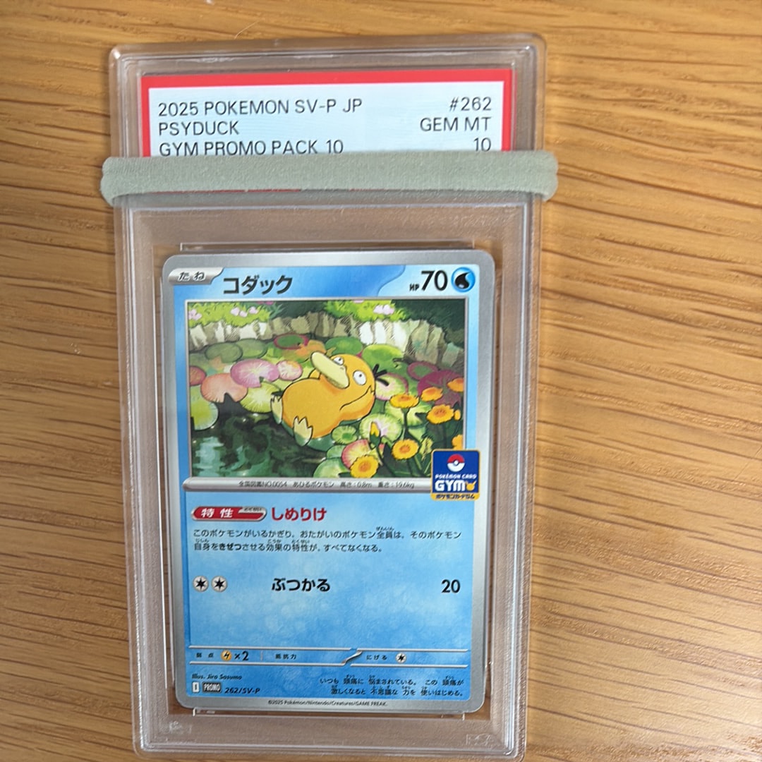 コダック P [SV-P 262](プロモカードパック「第10弾」)