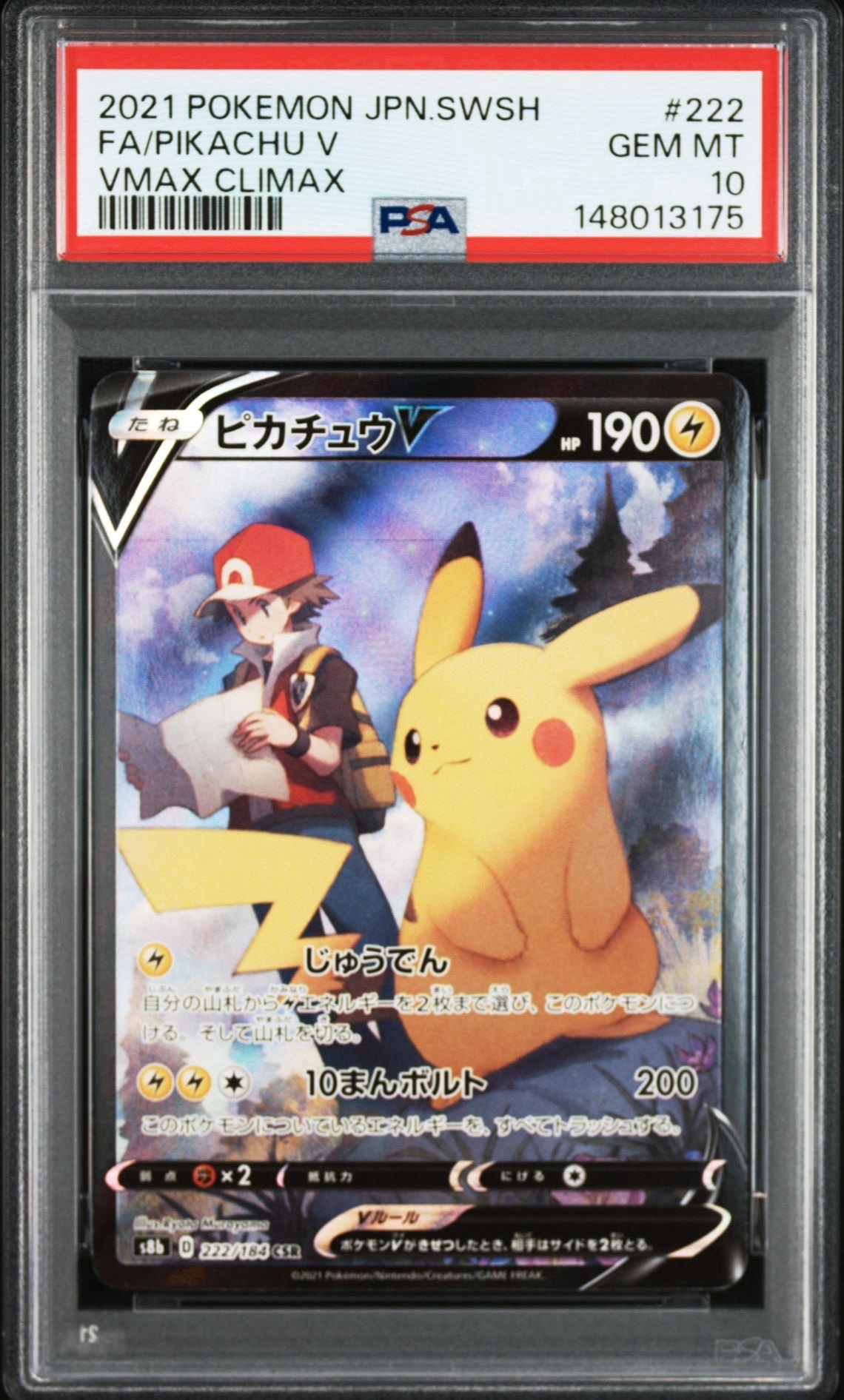 センパイとコウハイ SR :1ED [XY5-G 077/070](拡張パック「ガイア