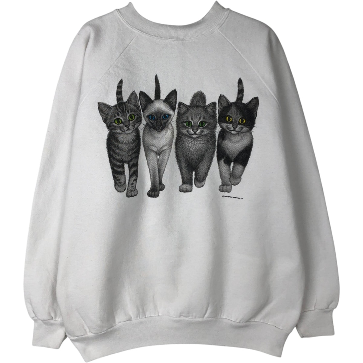 古着 90年代 ヘインズ Hanes ACTIVEWEAR ネコ柄 アニマル スウェットシャツ トレーナー USA製 メンズL相当 ヴィンテージ/eaa624631