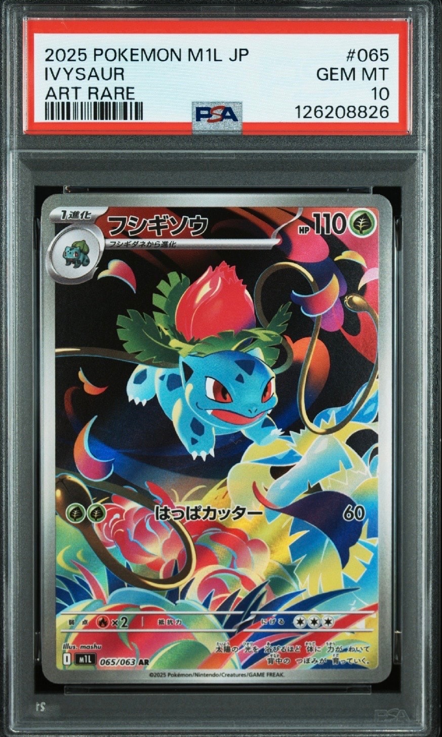 フシギソウ AR [M1L 065/063](拡張パック「メガブレイブ」)