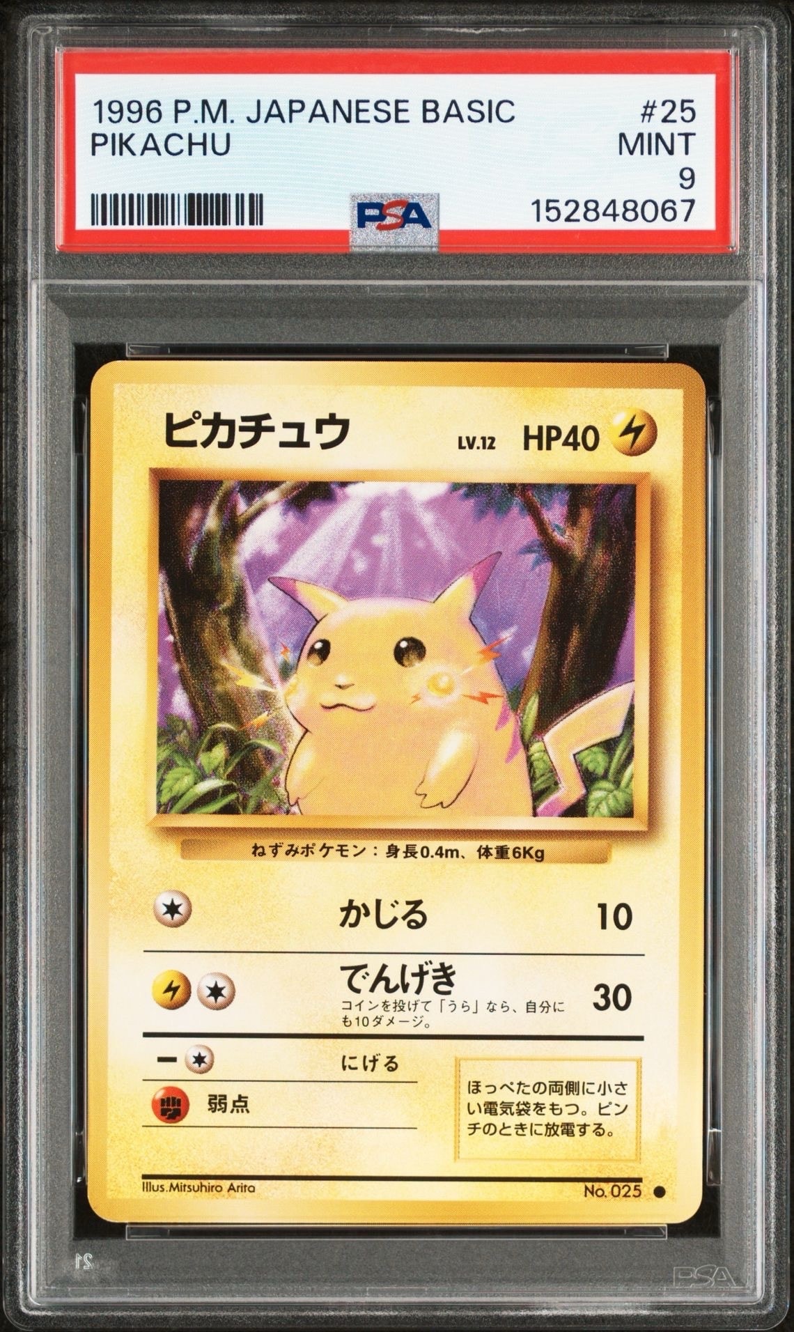 ピカチュウ ● : 旧裏 [PMCG1-2](拡張パック「ポケットモンスター カードゲーム」再販)