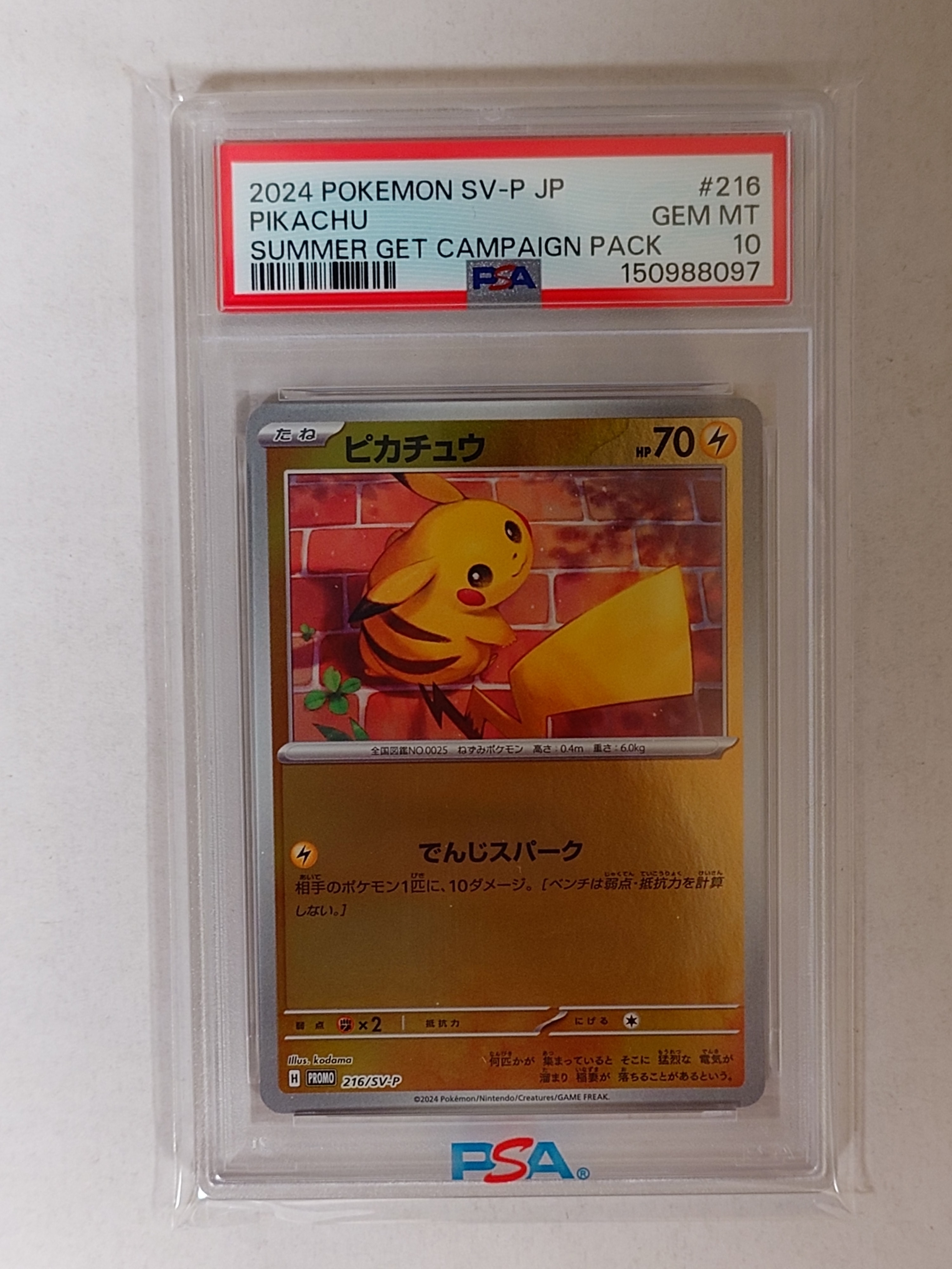ピカチュウ P [SV-P 216](プロモカードパック「ポケカの夏がキタ