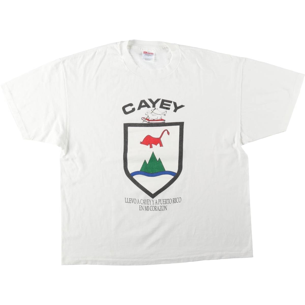 古着 90年代 ヘインズ Hanes Cayey プリントTシャツ メンズXL相当 ヴィンテージ/eaa661526