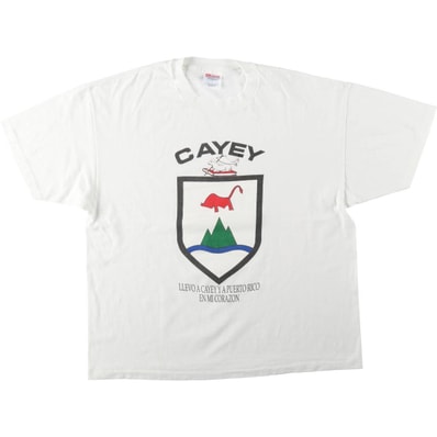 古着 90年代 ヘインズ Hanes Cayey プリントTシャツ メンズXL相当 ヴィンテージ/eaa661526