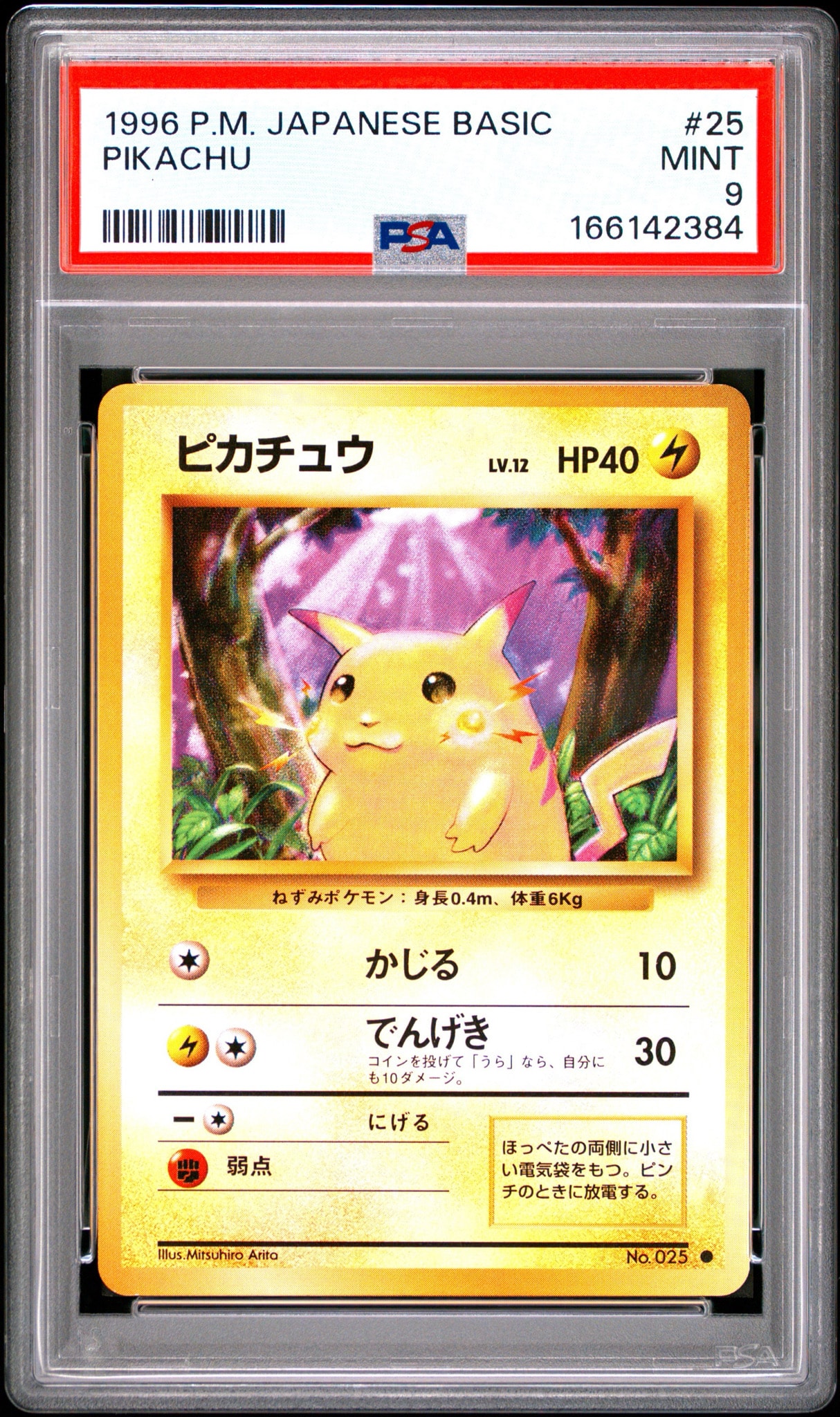 ピカチュウ ● : 旧裏 [PMCG1-2](拡張パック「ポケットモンスター カードゲーム」再販)