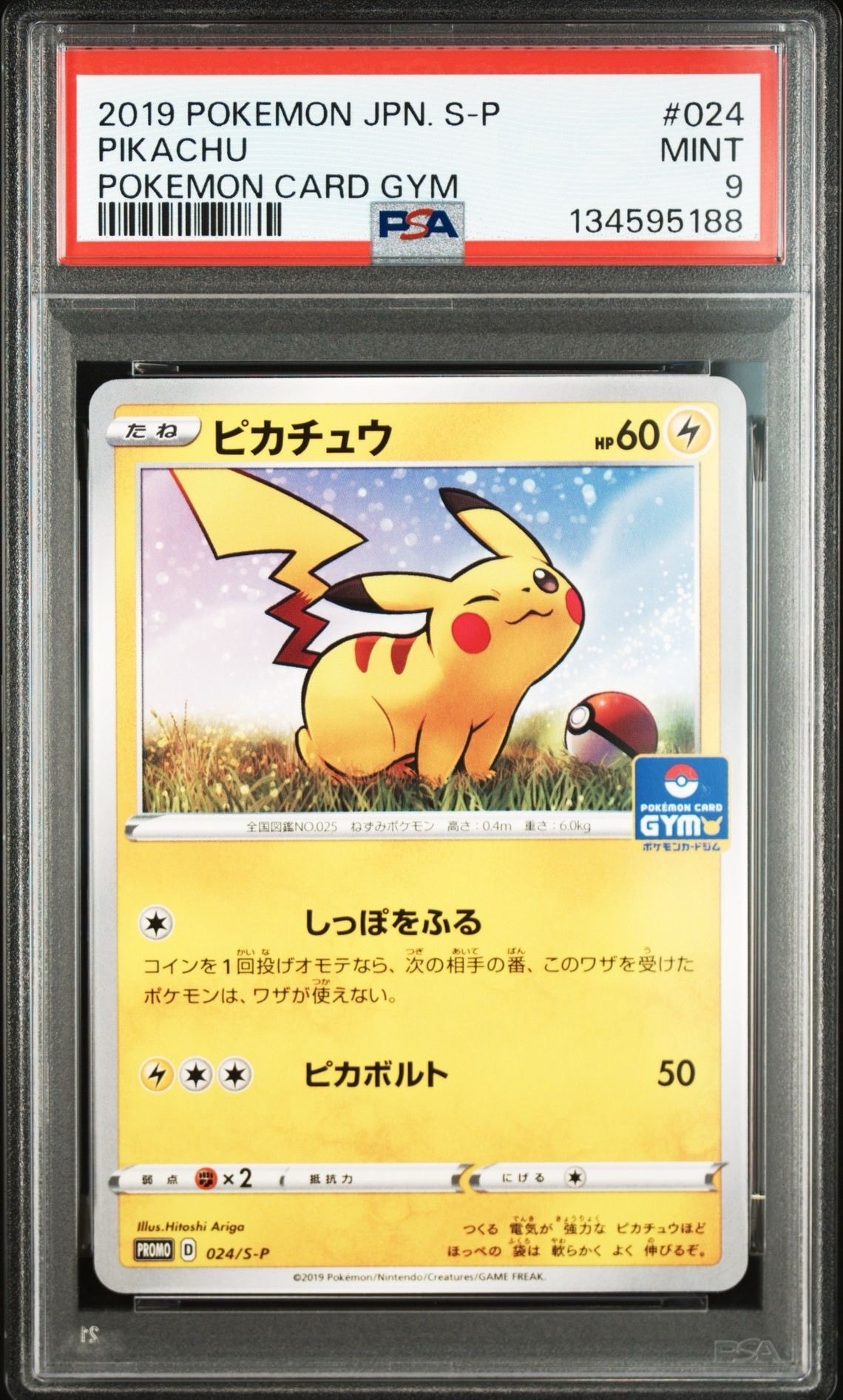 ピカチュウ: プロモ P [S-P 024](ポケモンカードゲーム ソード&シールド 「プロモカードパック 第1弾」)