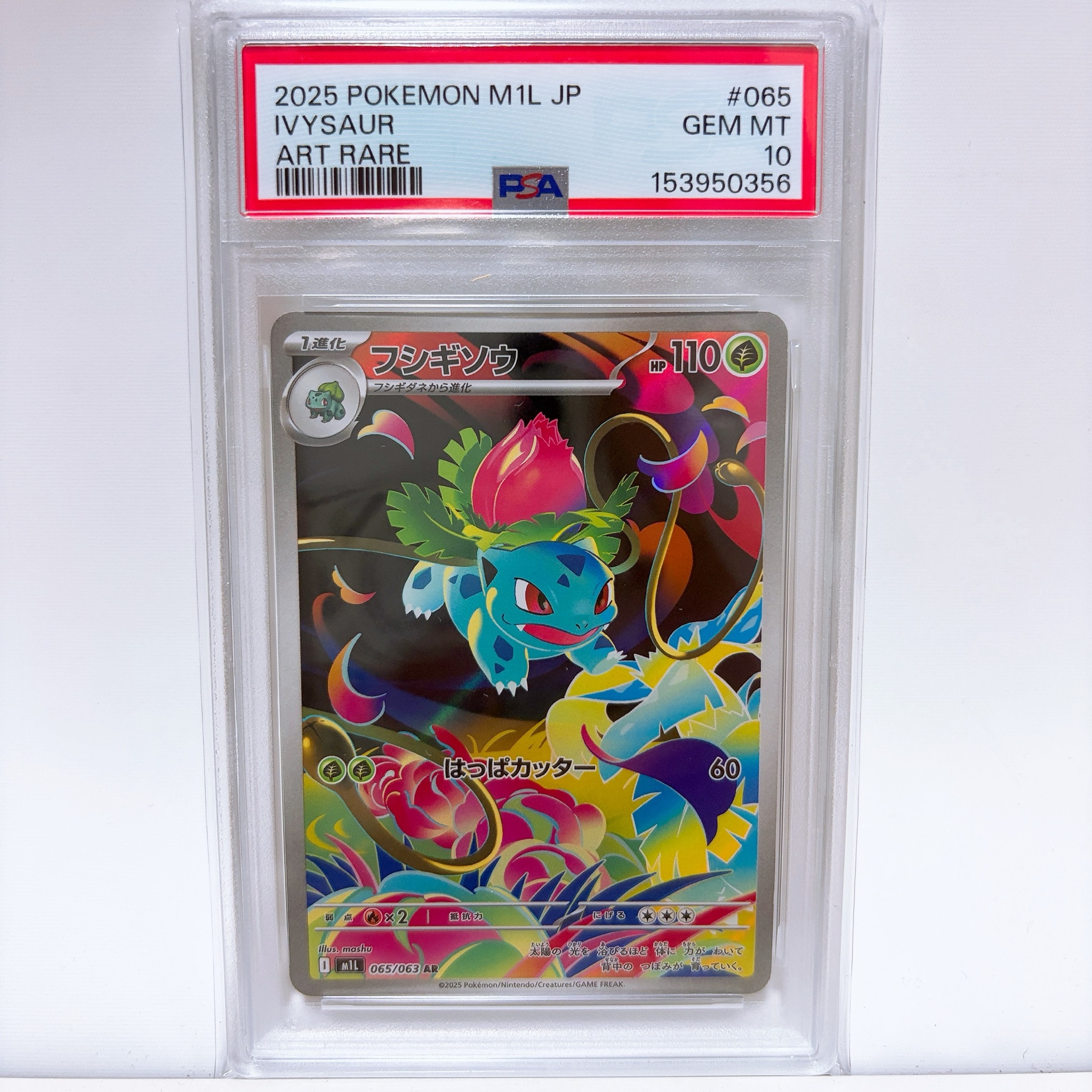 フシギソウ AR [M1L 065/063](拡張パック「メガブレイブ」)通販・買取