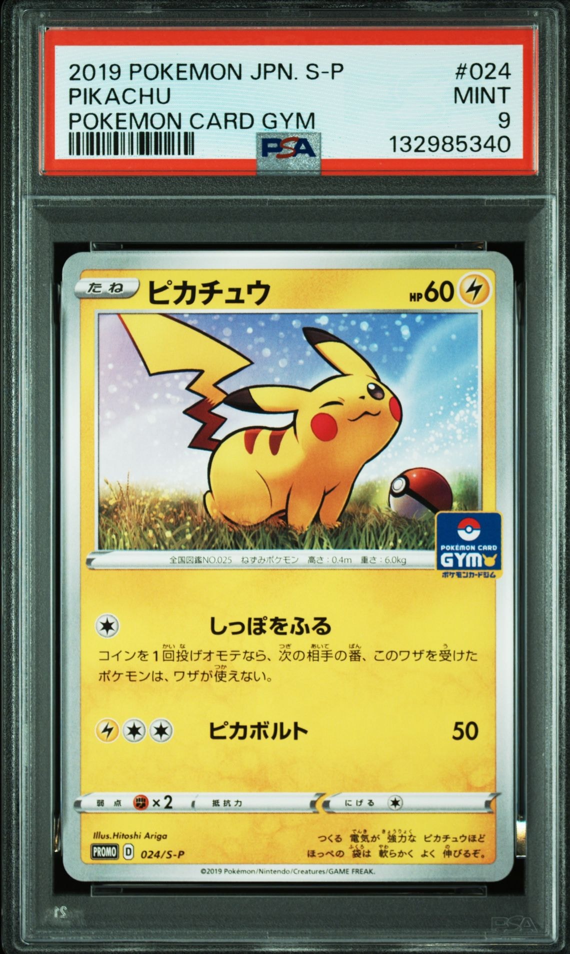 ピカチュウ: プロモ P [S-P 024](ポケモンカードゲーム ソード&シールド 「プロモカードパック 第1弾」)