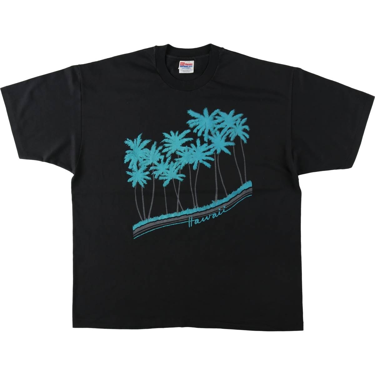 古着 90年代 ヘインズ Hanes スーベニアTシャツ メンズXL相当 ヴィンテージ/eaa646117