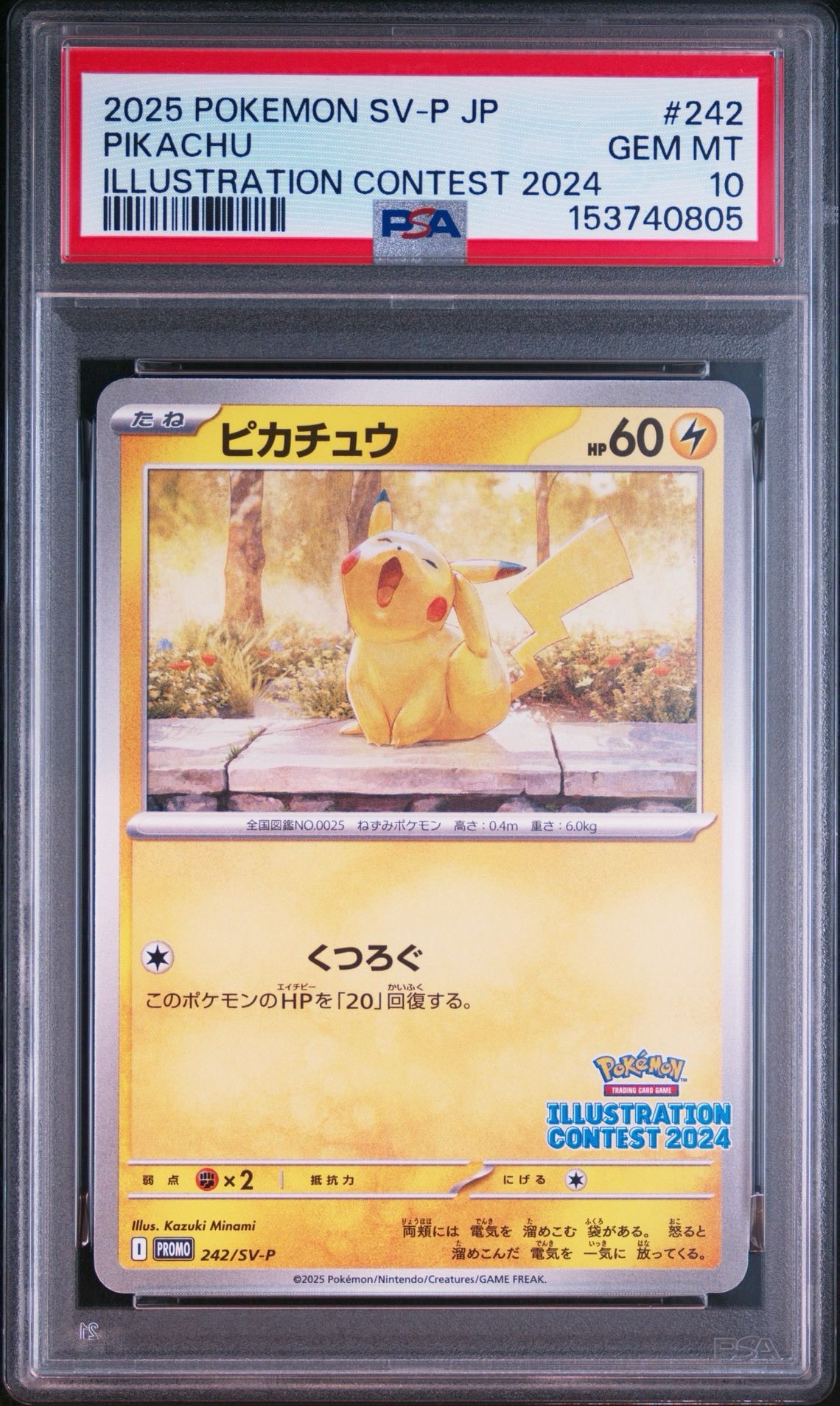ピカチュウ [SV-P 242](プロモカードパック「イラストレーション