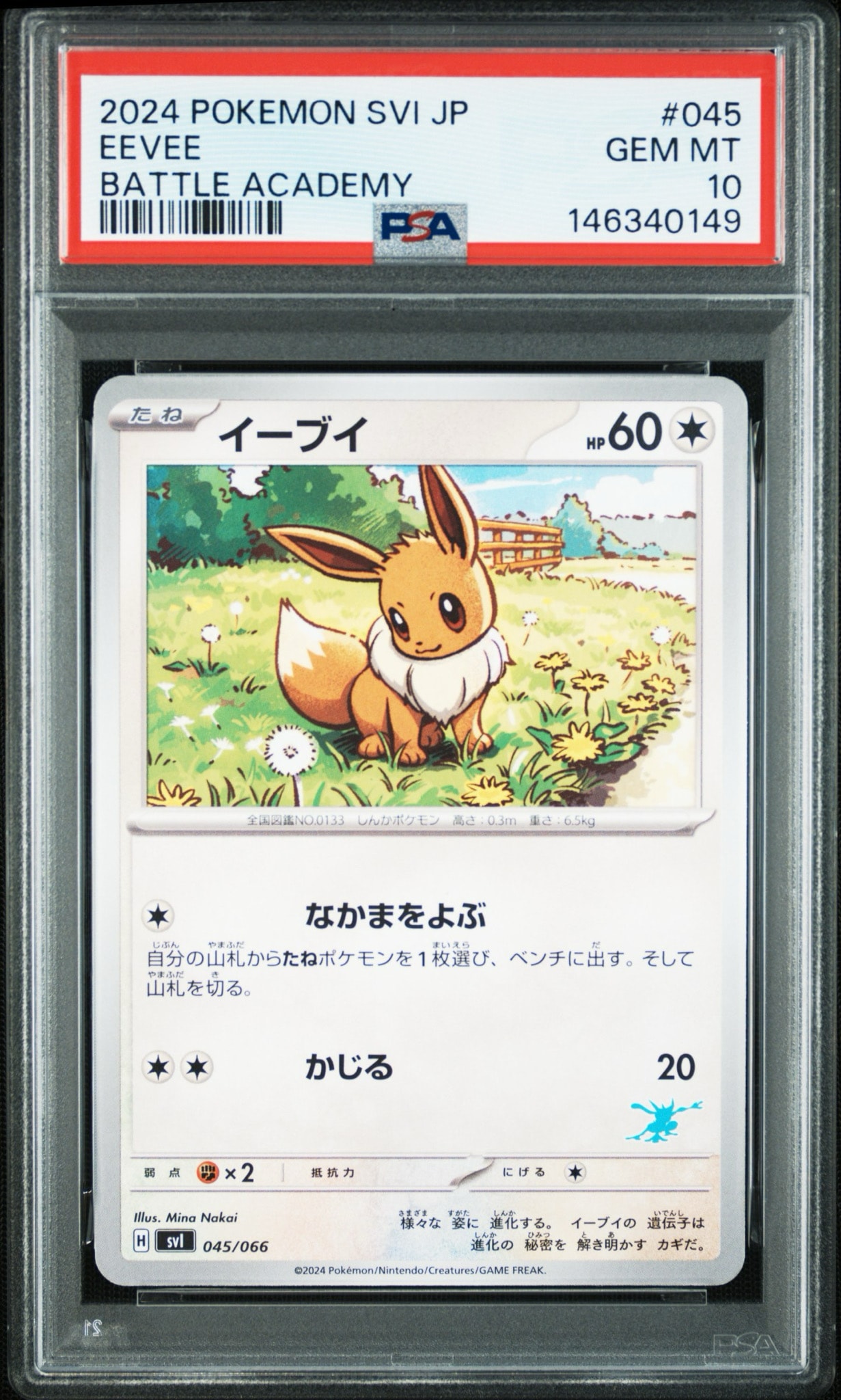 イーブイ [SVI 045/066](「バトルアカデミー」ゲッコウガex デッキ
