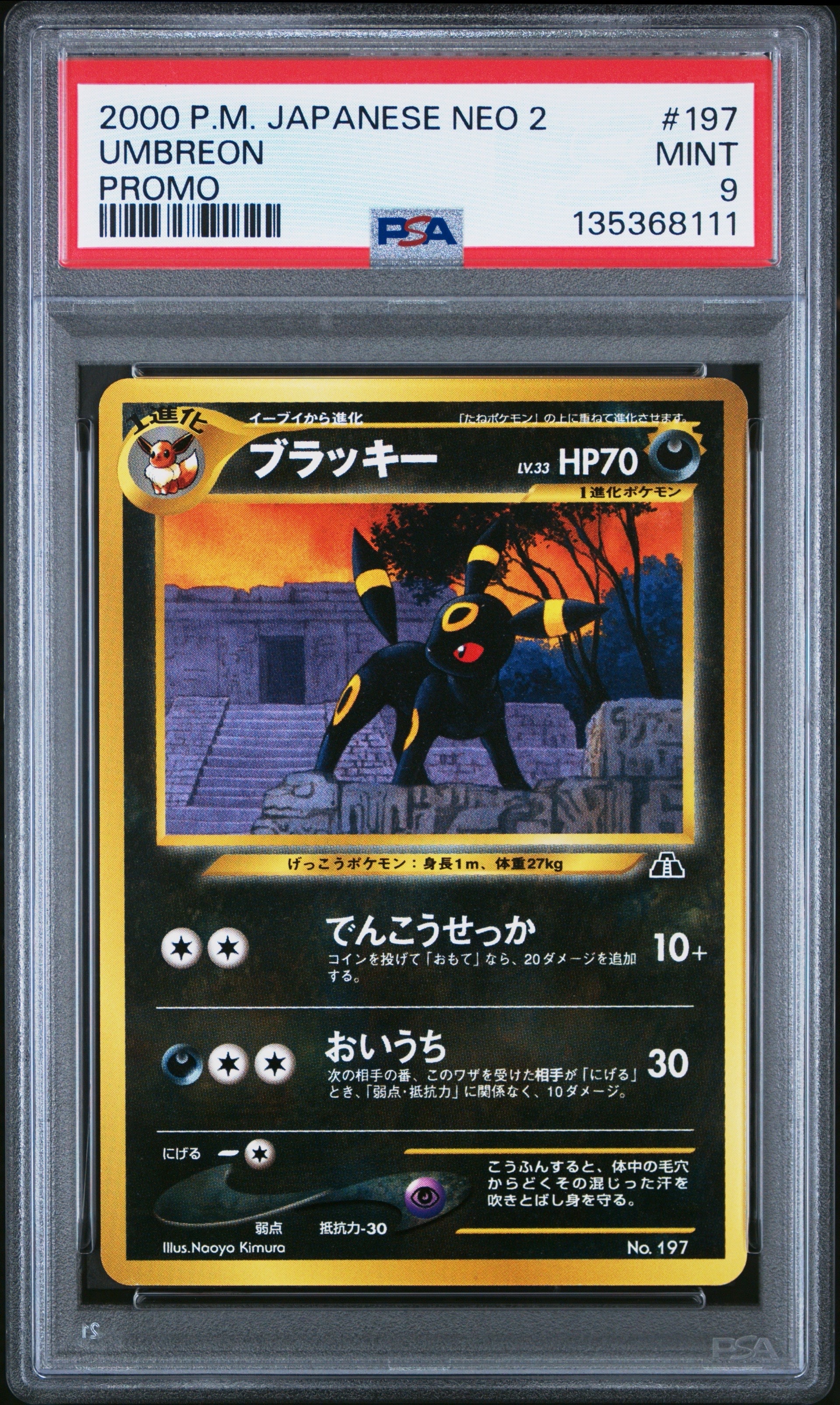 ブラッキープレミアムファイル2: 旧裏[neoP2 No.197](プレミアムファイル2)