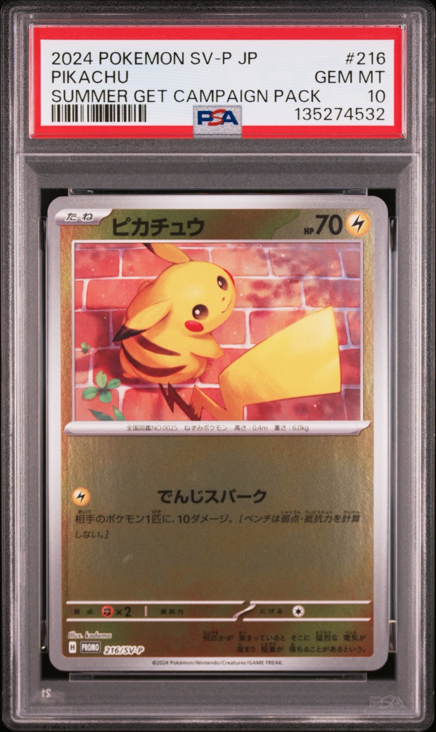ピカチュウ P [SV-P 216](プロモカードパック「ポケカの夏がキタ!プロモカードGetキャンペーン!」)