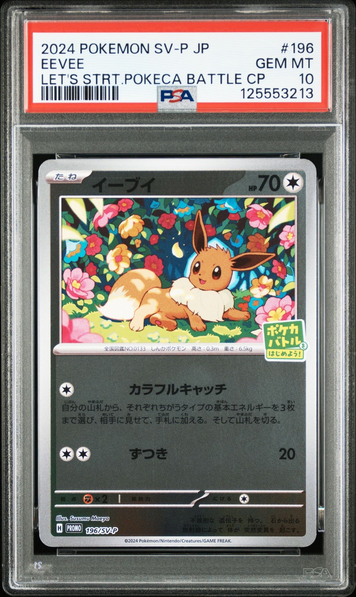 イーブイ P [SV-P-SM 196](プロモカードパック「ポケカバトルをはじめよう!キャンペーン」)