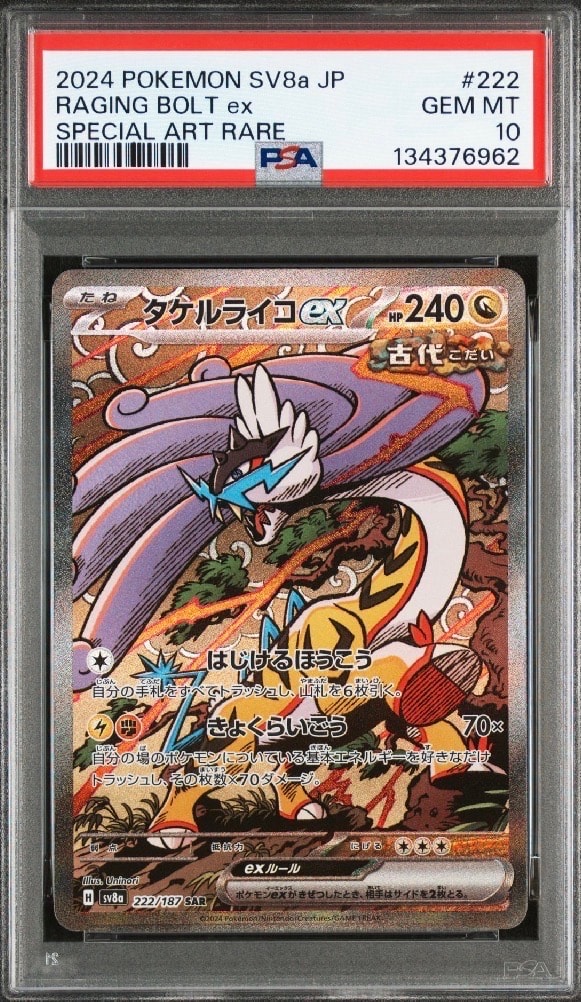 タケルライコex SAR [SV8a 222/187](ハイクラスパック「テラスタルフェスex」)