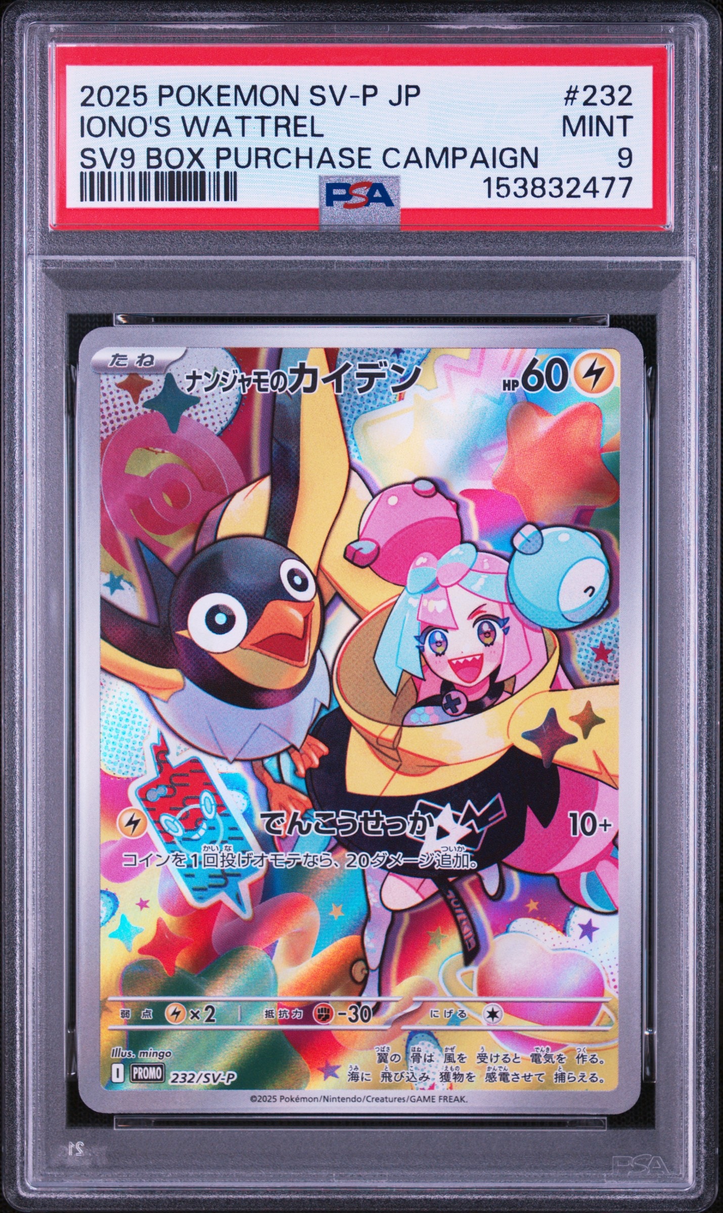 ナンジャモのカイデン P [SV-P 232](プロモーションカード「拡張パック
