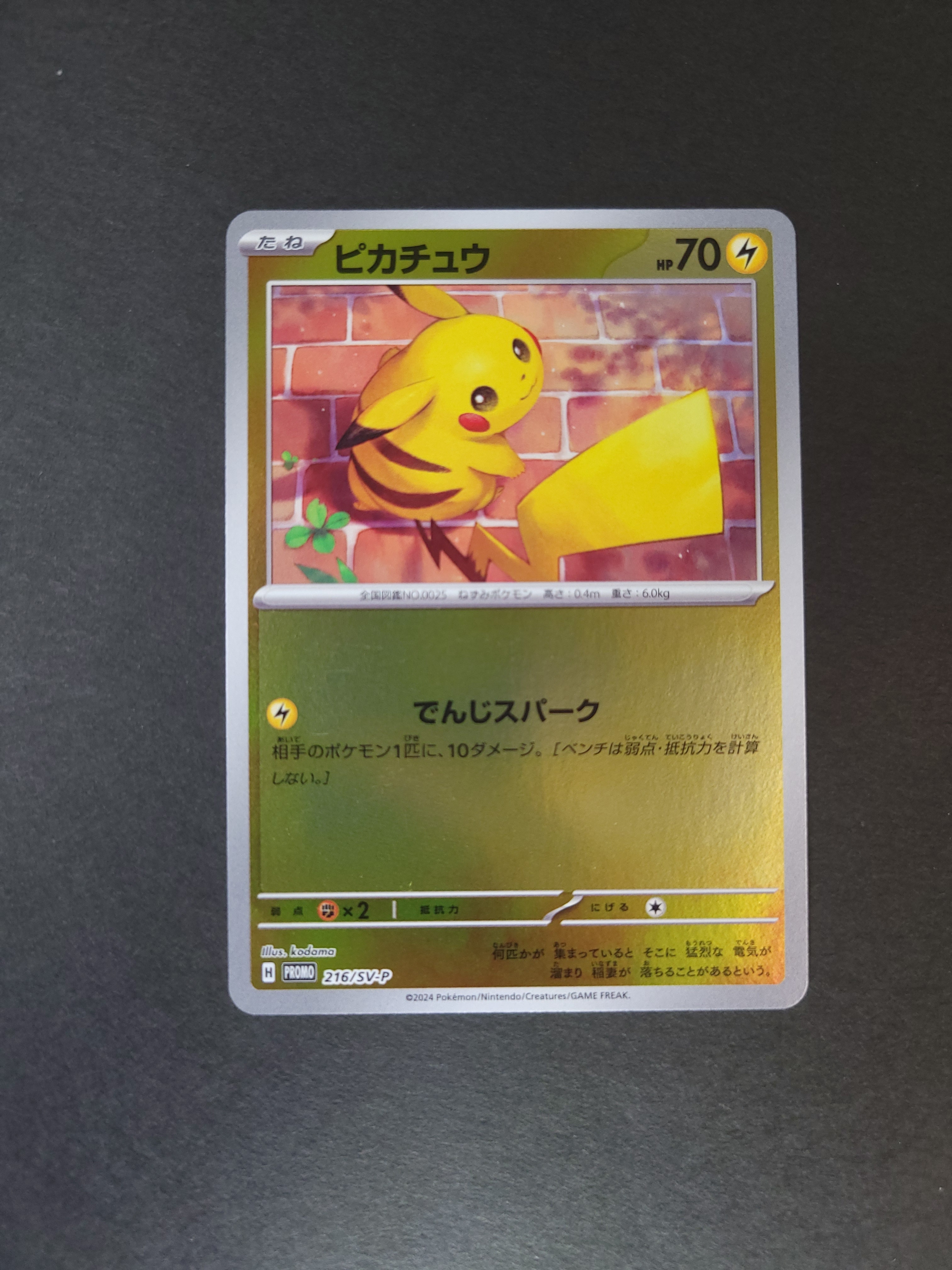ピカチュウ P [SV-P 216](プロモカードパック「ポケカの夏がキタ!プロモカードGetキャンペーン!」)