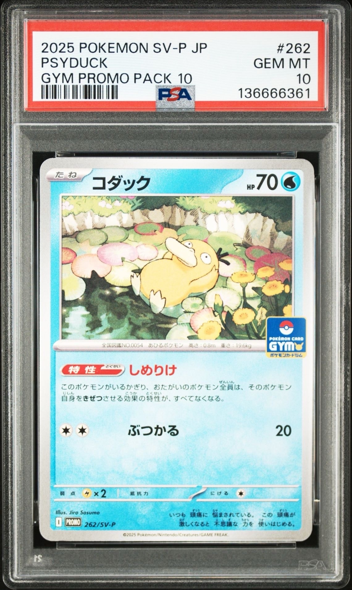 コダック P [SV-P 262](プロモカードパック「第10弾」)の新品/中古