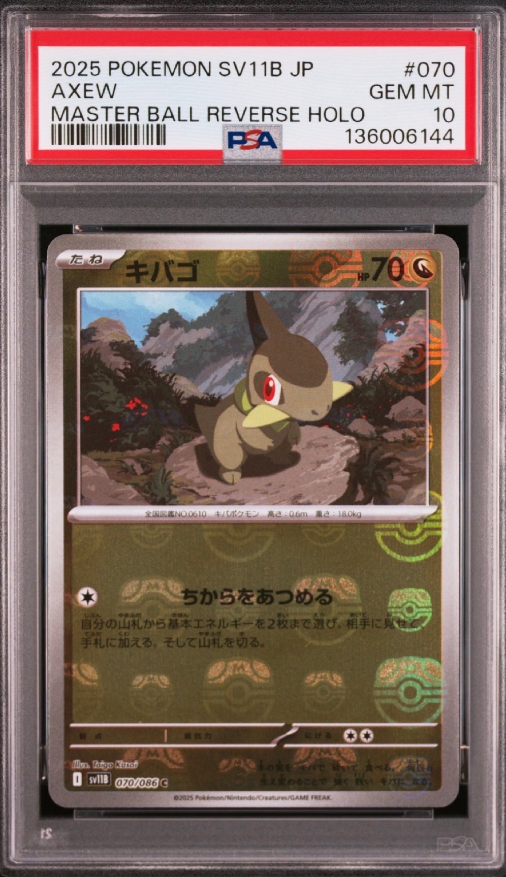 キバゴ C :マスターボールミラー [SV11B 070/086](拡張パック「ブラックボルト」)
