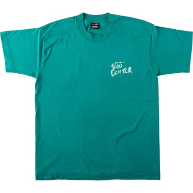 古着 90年代 フルーツオブザルーム FRUIT OF THE LOOM BEST プリントTシャツ USA製 メンズL相当 ヴィンテージ/eaa642574